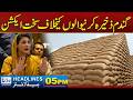 Massive Raid Exposes Wheat Hoarding Network in Punjab | 5pm News Headlines | 01 June 2026 | Rohi