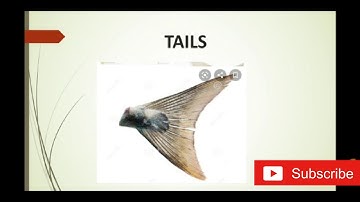 6th STD (SCIENCE THE LIVING WORLD OF ANIMALS) Part-2