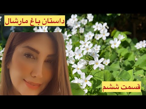 وقتی عشق تبدیل به جنون شد داستان تلخ خسرو و سیما