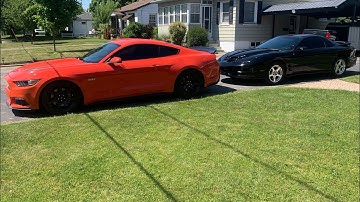 98-02 Pontiac Firebird trans am ws6 custom led headlights