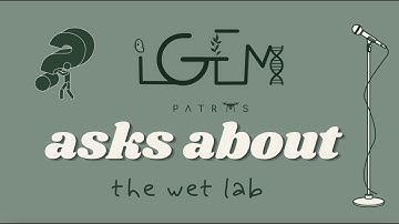 The Wet lab - Accessibility Collab