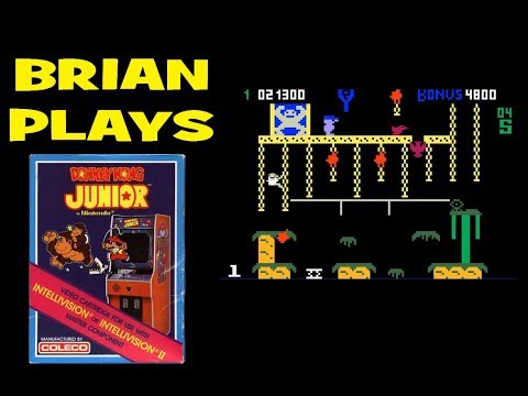 Donkey Kong Junior