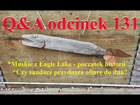 Q&A odcinek 131