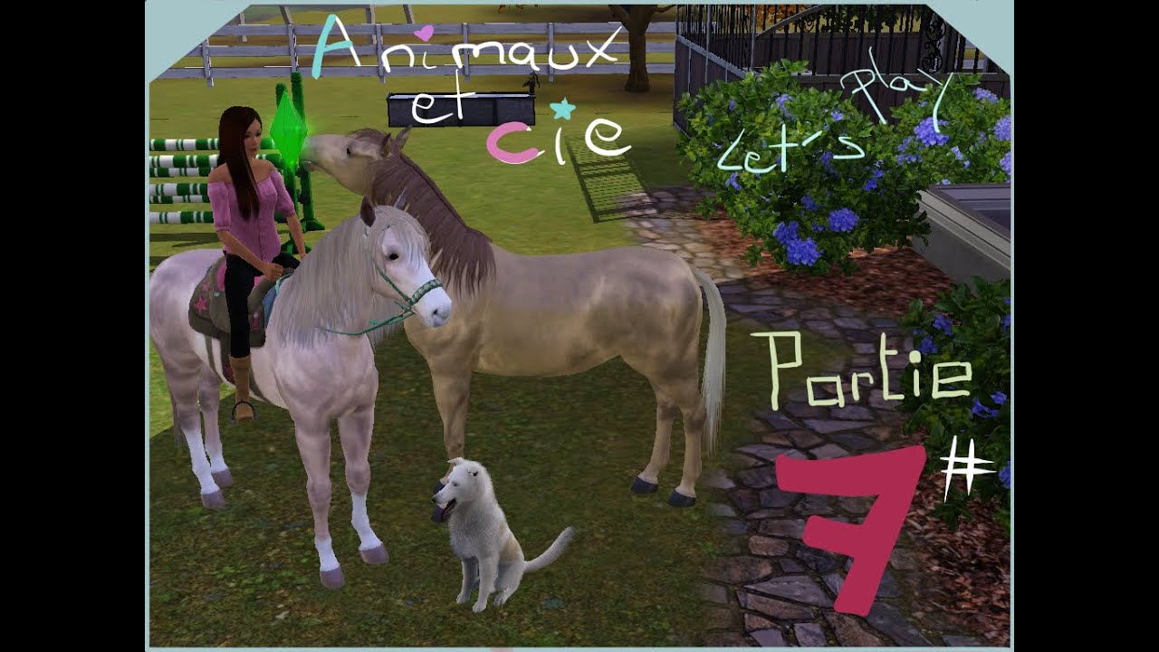 Les Sims 3: Animaux & Cie (Extension) (PC/Mac) au meilleur prix sur