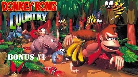 Donkey Kong Country 1: Bonus #1: Cheats and Secrets
