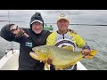 seguimos pescando dorados con SANTINO PESCA&quot; EN PASO DE LA PATRIA.