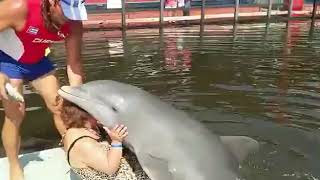 Дельфин и женщина )))))