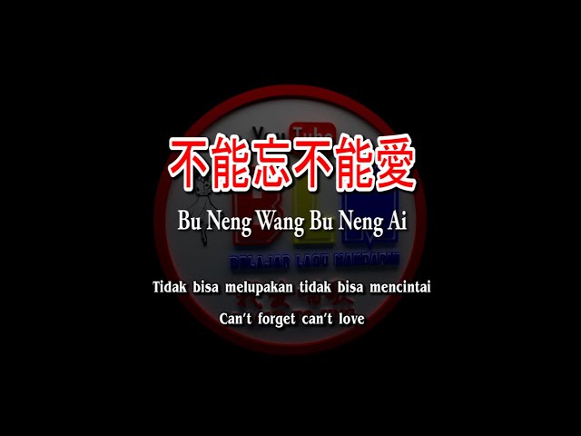 Bu neng wang bu neng ai - 不能忘不能爱 - Karaoke - Terjemahan - Pinyin - Lyrics - Lirik class=