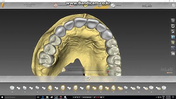 InLab Power Of Biogeneric