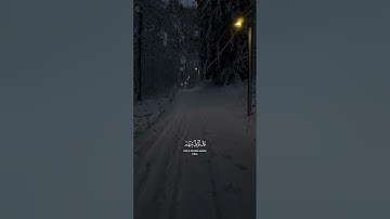 الشيخ خالد الجليل | سورة يوسف #قرآن