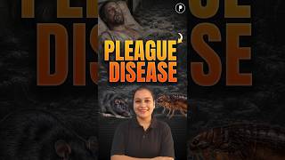 Black Death (1347-1351) Explained | The Deadliest Plague in Human History | Medieval Europe