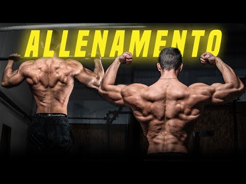 COMPLETE WORKOUT OF A CALISTHENICS CHAMPION