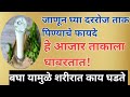 जाणून घ्या दररोज ताक पिण्याचे १६ फायदे | Buttermilk Benifits In Marathi