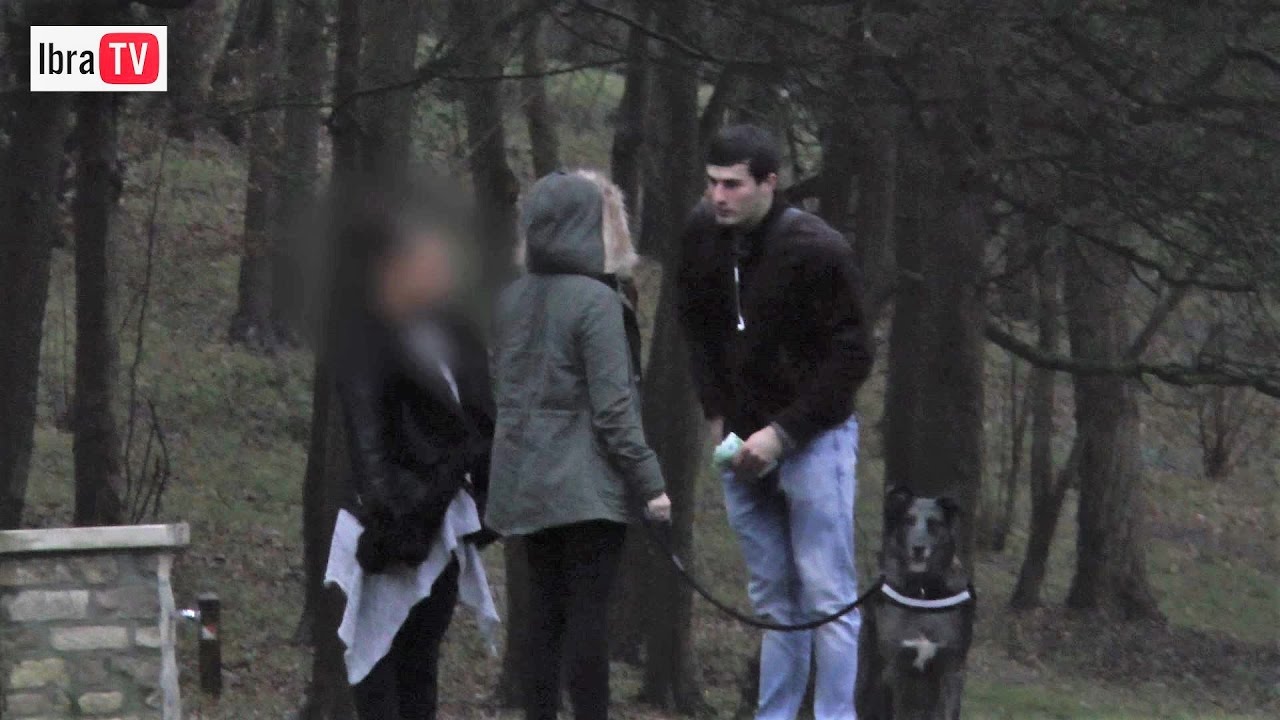 ACHETER LE CHIEN D'UN PASSANT (expérience sociale) IbraTV
