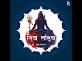 SHIV TANDAV STROTRAM SNK REMIX