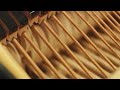 Capture de la vidéo Sebastian Mullaert With Musicians Of The Tonhalle Orchester Zürich - "Natthall" Lp (Trailer)