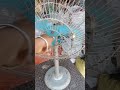 ਇਹ ਪੱਖਾਂ ਕਿੰਨੇ ਸਾਲ ਪੁਰਾਣਾ ਹੋਉਗਾ #dailyvlog #minivlog #Fan#manalwale#