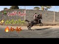 #فلوق (11) تربيع الخيل الشبب حراره مليون😂🔥🔥 + سباق الخيل في وادي نجران✈️ وتمشيه في المزارع