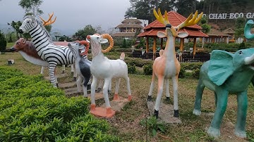 ThảoCady đi ra vườn hoa chơi cùng các con vật, con bò, con ngựa, con hươu cao cổ. part-43