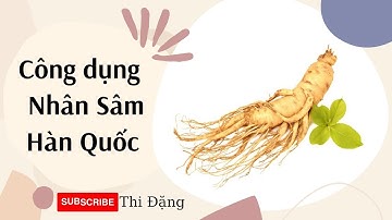 Công Dụng Của Nhân Sâm Hàn Quốc - Thi Đặng - ANaNa Nhân Sâm Korea