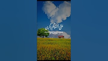 قرآن كريم بصوت خاشع للشيخ ياسر الدوسري #قرآن #تلاوة_خاشعة #ياسر_الدوسري #quran