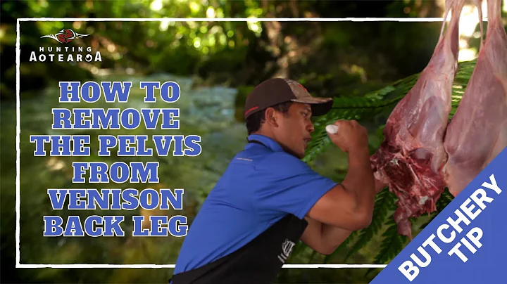 How to remove the pelvis from a Venison back leg - Hunting Aotearoa Tip - Part 6