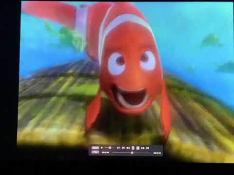 Finding Nemo righteous with gun shots