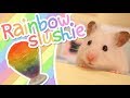 🌈 Rainbow Slushie | HAMSTER KITCHEN 🌈