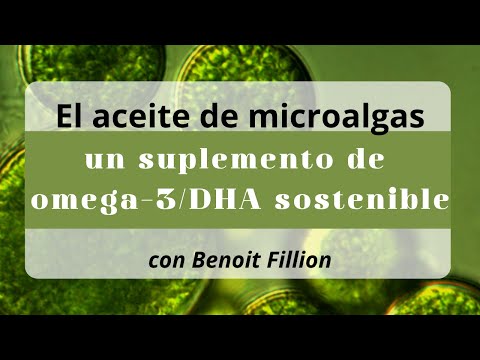 El aceite de algas como fuente sostenible de omega 3 - DHA
