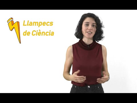 Vídeo: Què és l'adaptació per a la supervivència?