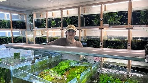 Exotic Aquatica - De Winkeltour! 2022 | ExoticAquatica.nl