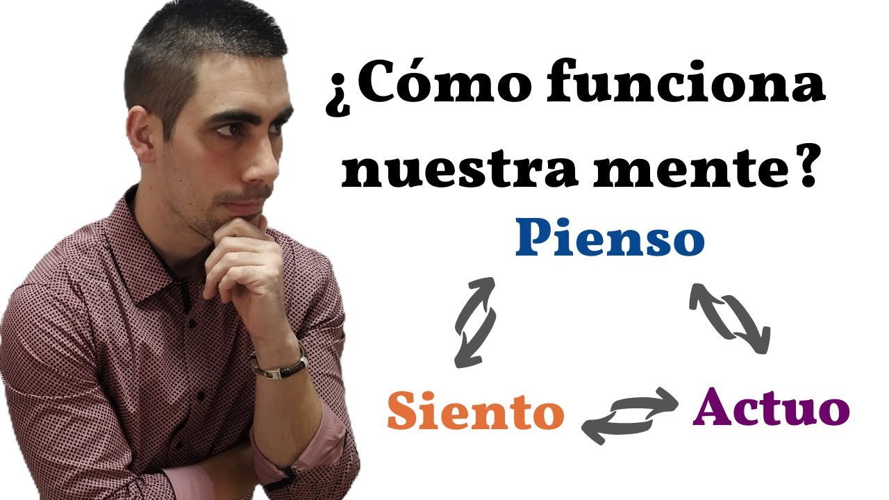 Cómo funciona el cerebro