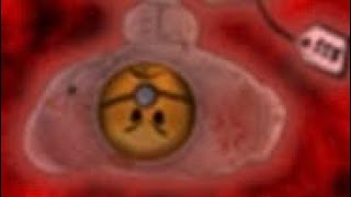 How to get Psycho Bear | Roblox Bear
