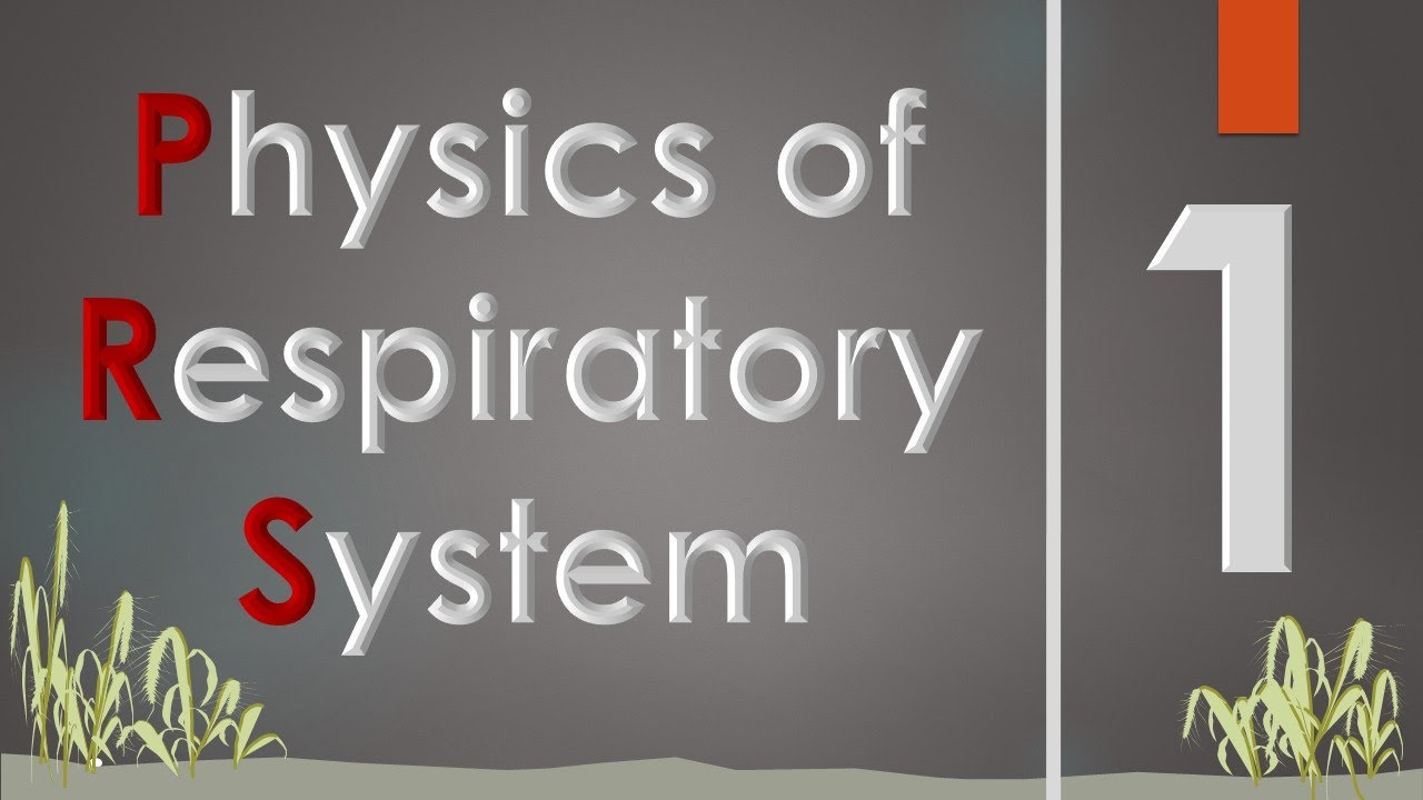 Respiratory System (1/4) || Medical Physics || سنة أولى طب - فيزياء الجهاز التنفسي || M000 || [2/20]