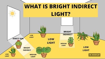 What is bright indirect light?