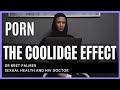 Why porn is addictive? The Coolidge effect explains why.