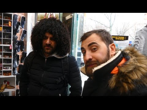 გასეირნება ნიუ-იორკში მგელთან ერთად