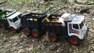 Trek Gandeng Tronton Angkut Si Manis kucing lucu menemukan mainan