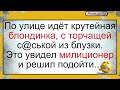 Блондинка с торчащей с@ськой и мент... Подборка смешных жизненных анекдотов Лучшие короткие анекдоты