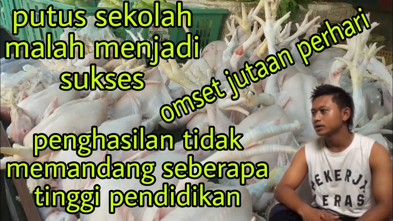 CARA MEMBUAT USAHA AYAM POTONG - YouTube