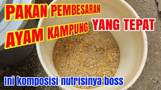 WAJIB TAU‼️PAKAN UNTUK PEMBESARAN AYAM KAMPUNG YANG TEPAT ‼️