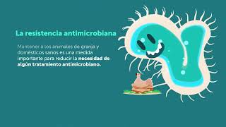 ¿Qué es la resistencia antimicrobiana?