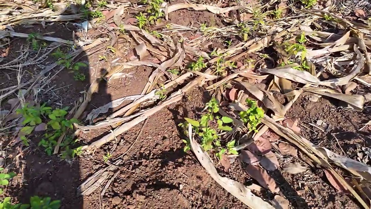 Sang nhượng 3.6ha ôm đường 130m 3.2 tỷ ai thiện trí LH 0941724313(0977669965)