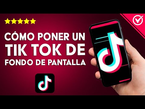 ¿Cómo poner un TIKTOK de fondo de pantalla en un móvil Android?