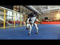 Boston Robotics maakt robotdansvideoclip