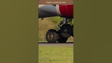 Flight Landing Gear   3D Design  3