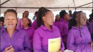 PANGUSANENI MACHOZI BY SHIMANYI FM performance by Organist Peles