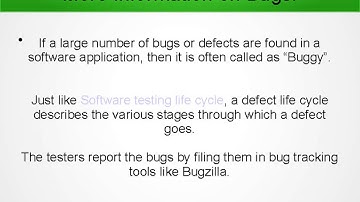 Defects or Bugs In Software Testing