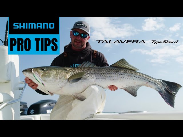 Slow-Pitch Jigging for Striped Bass  Pro Tips with Capt. Jack Sprengel 