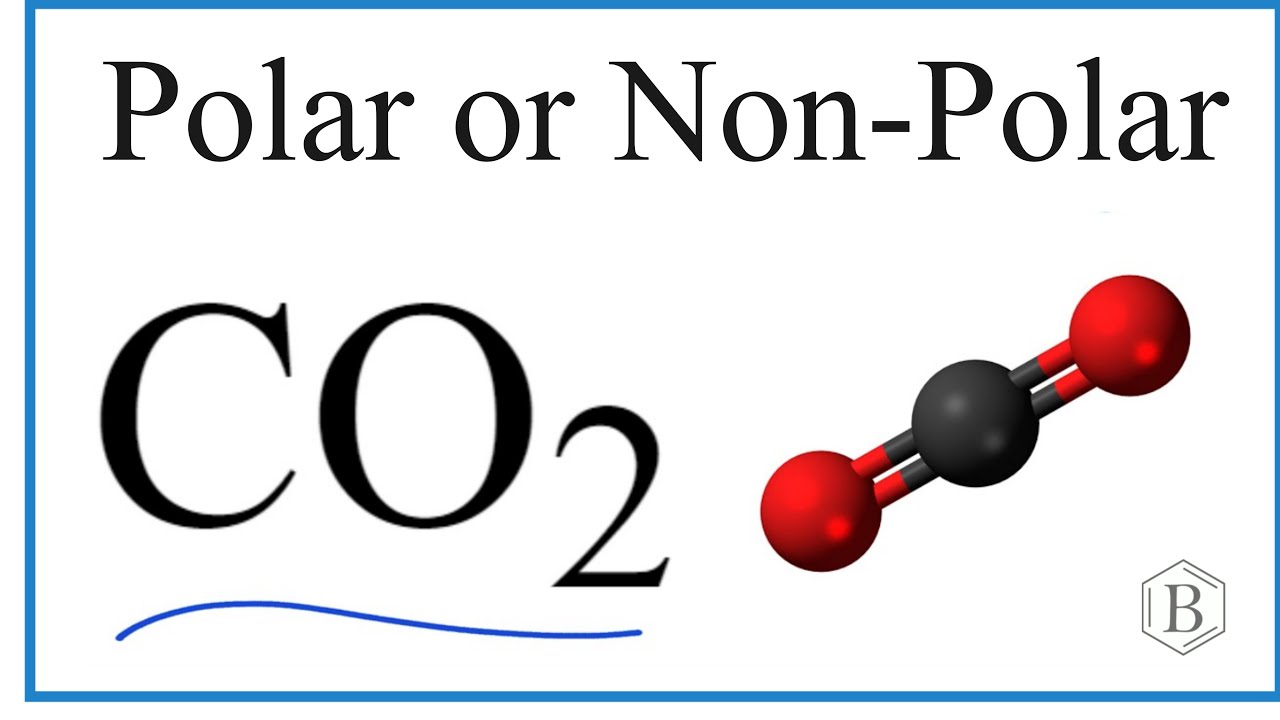 Is CO2 a Polar or Non-Polar Molecule? - YouTube